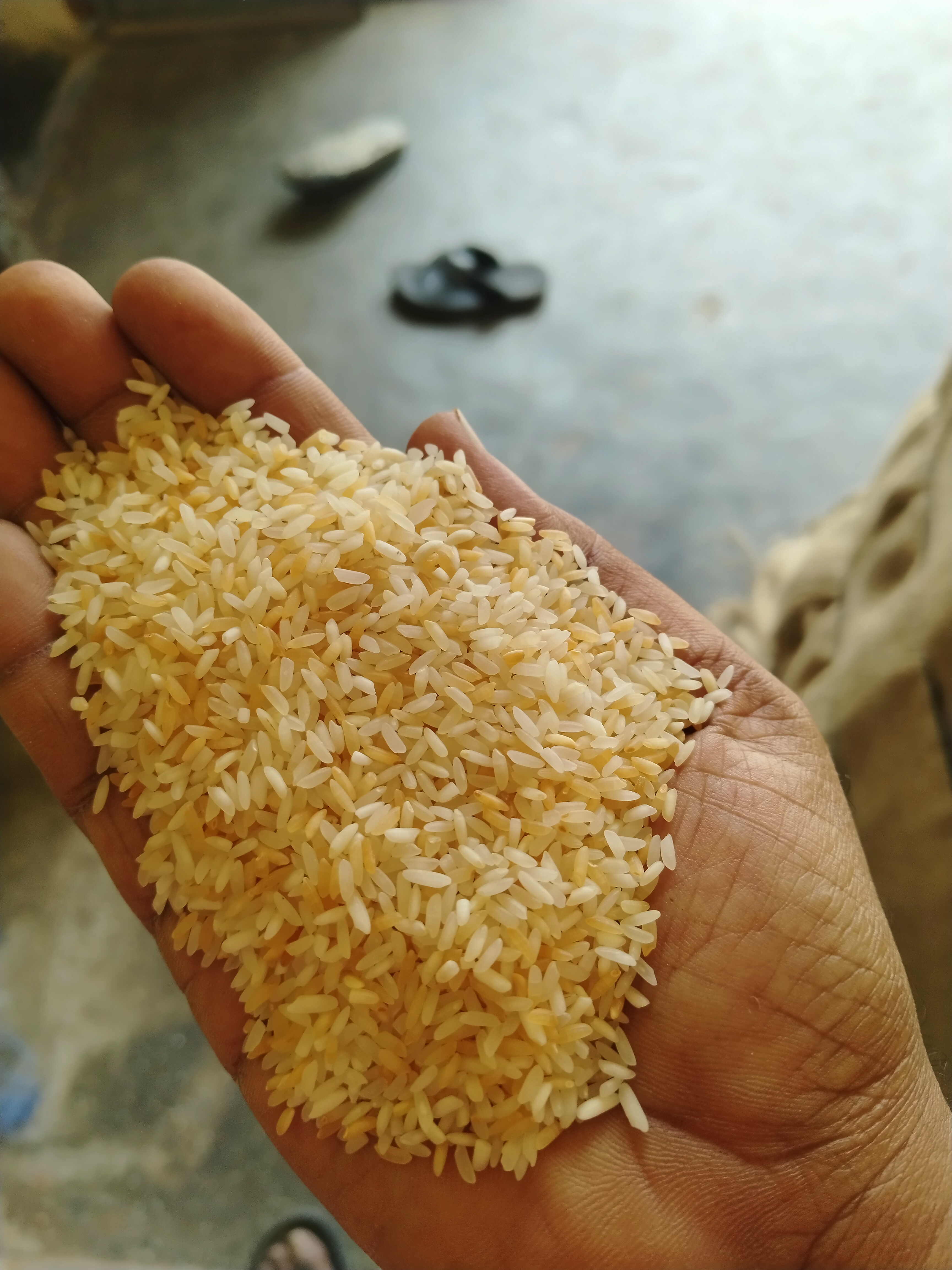Bpt paya